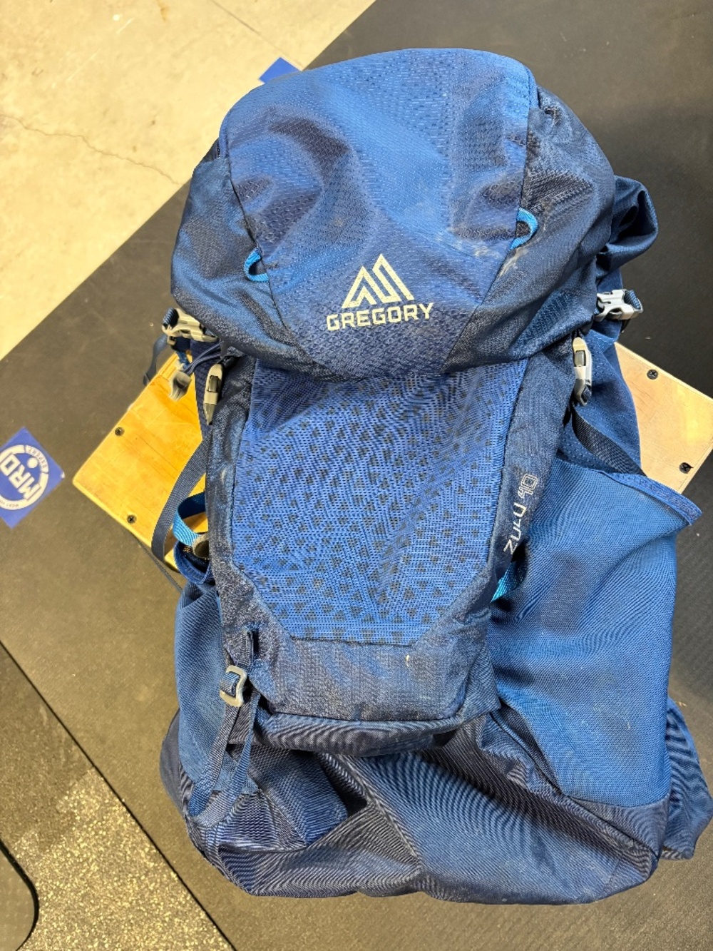 Gregory Backpack